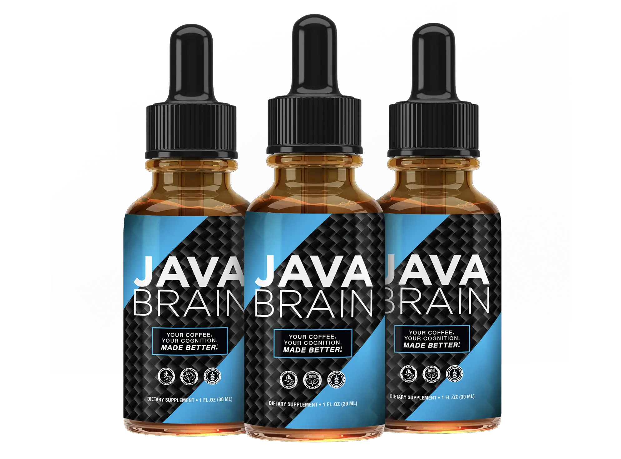 Java Brain official website